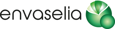 Logo Envaselia Horizontal  PNG